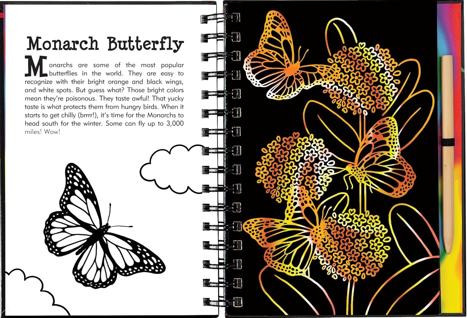 Butterflies and Friends Scratch and Sketch Book