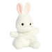 https://cdn.shopify.com/s/files/1/1229/8970/products/82061a.jpg?v=1750264333