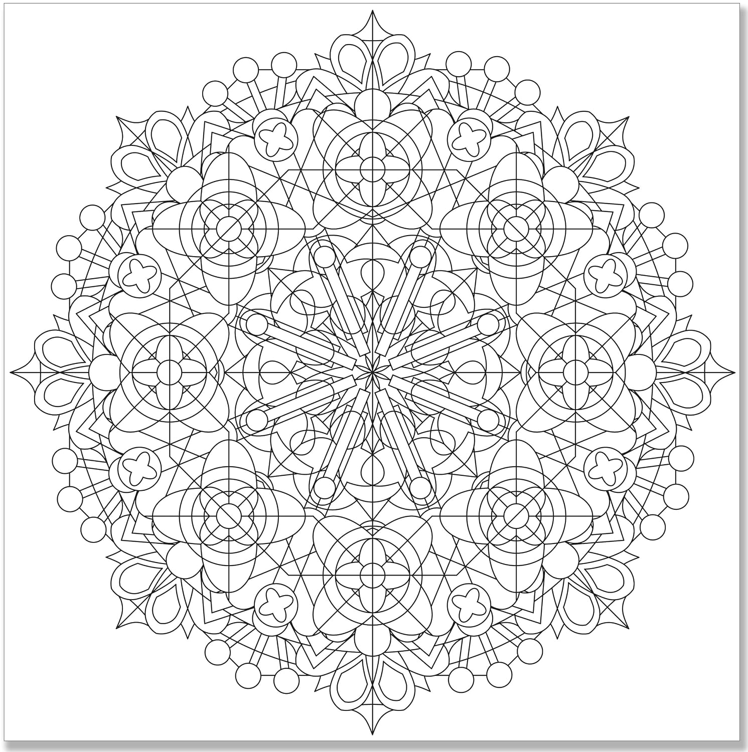 Peter Pauper Press Kaleidoscope Designs Adult Coloring Book