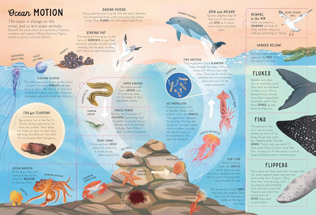 Ultimate Lift the Flap Encyclopedia of Oceans Hardback Book