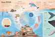 Ultimate Lift the Flap Encyclopedia of Oceans Hardback Book