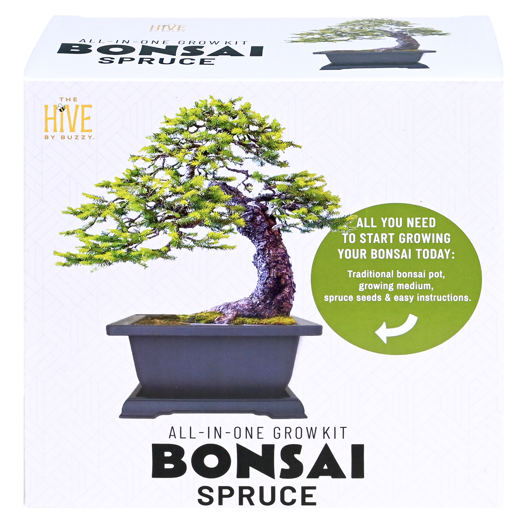 Bonsai Spruce Grow Kit
