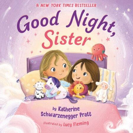 Good Night Sister  Book
