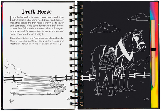 Horses Scratch and Sketch Trace Along Book