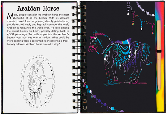 Horses Scratch and Sketch Trace Along Book