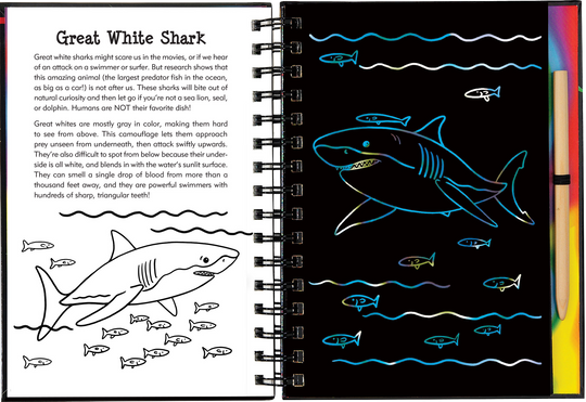 Sharks Scratch and Sketch Book