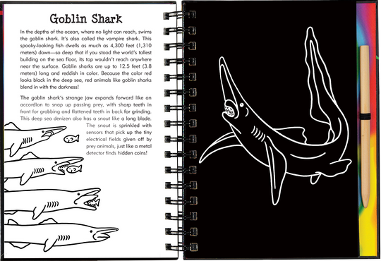 Sharks Scratch and Sketch Book