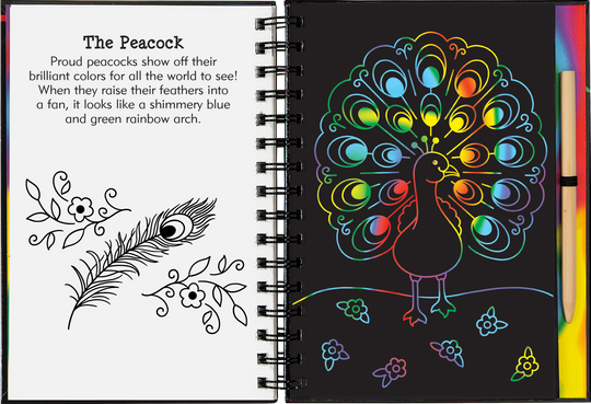 Rainbow Magic Scratch and Sketch Book