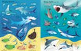 https://usborne.com/media/catalog/product/cache/87bce1deda3628490296cb7034dbc92b/9/7/9781805074809_spread_image.jpg