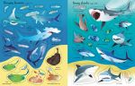 https://usborne.com/media/catalog/product/cache/87bce1deda3628490296cb7034dbc92b/9/7/9781805074809_spread_image.jpg