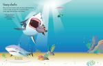 https://usborne.com/media/catalog/product/cache/87bce1deda3628490296cb7034dbc92b/9/7/9781805074809_spread_image_1_.jpg