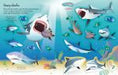 https://usborne.com/media/catalog/product/cache/87bce1deda3628490296cb7034dbc92b/9/7/9781805074809_spread_image_2_.jpg