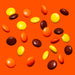 REESE'S PIECES Peanut Butter Christmas Candy Carton 3 oz