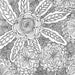 Peter Pauper Press Serenity Adult Coloring Book