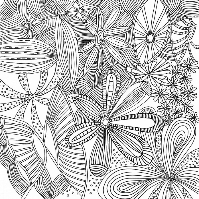 Peter Pauper Press Serenity Adult Coloring Book