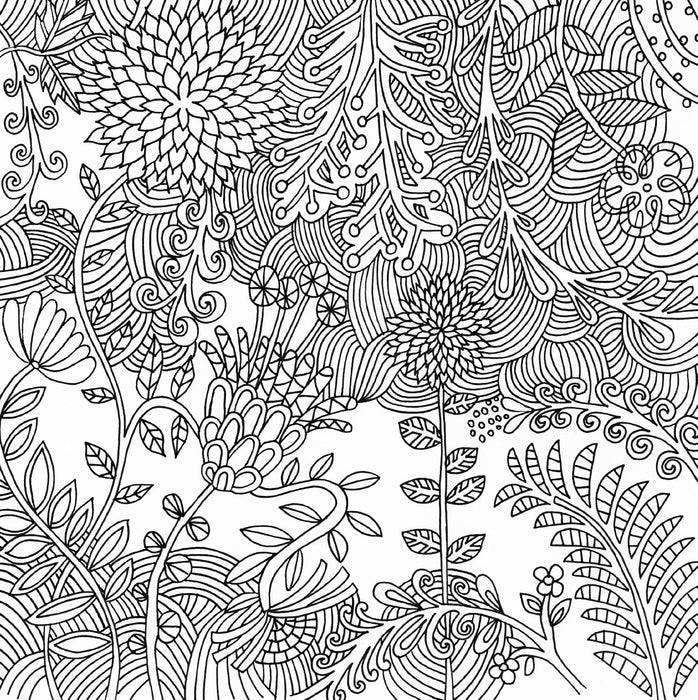 Peter Pauper Press Serenity Adult Coloring Book