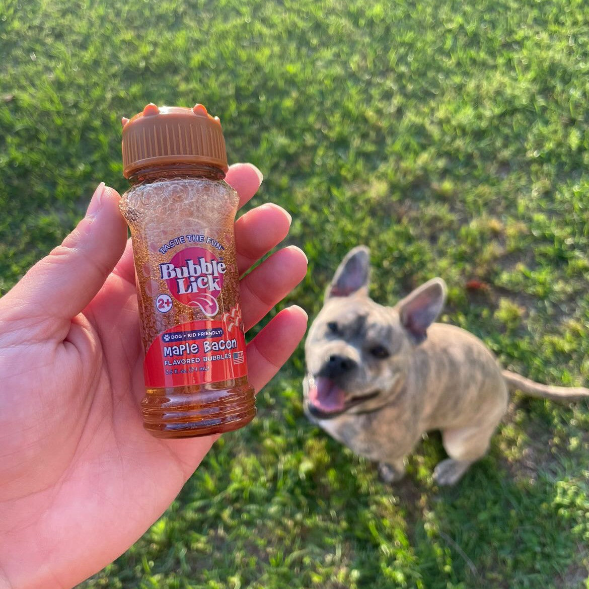 BubbleLick Maple Bacon Flavored Bubbles for Dogs and Kids
