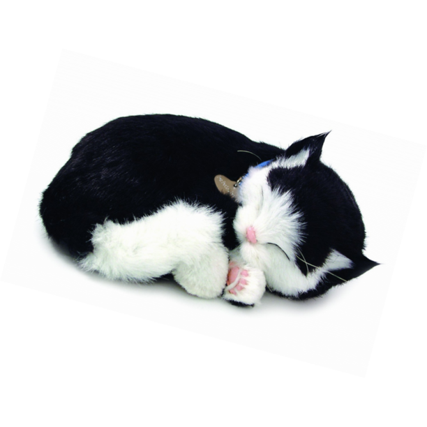 Black and White Kitten Perfect Petzzz