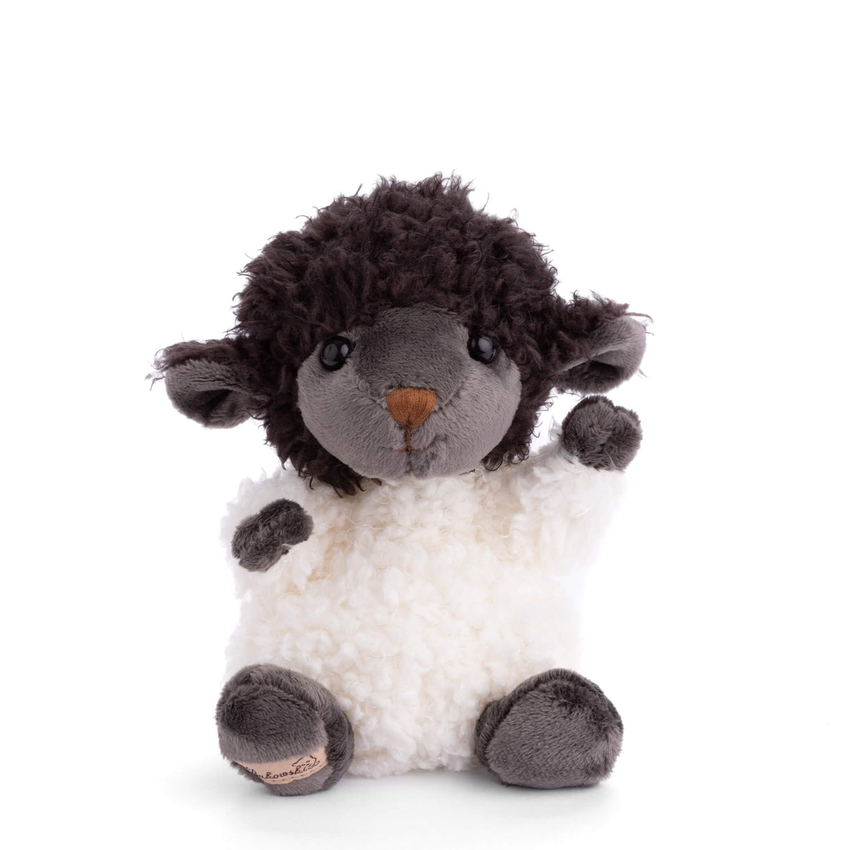 Black Sheep Bukowski Bear