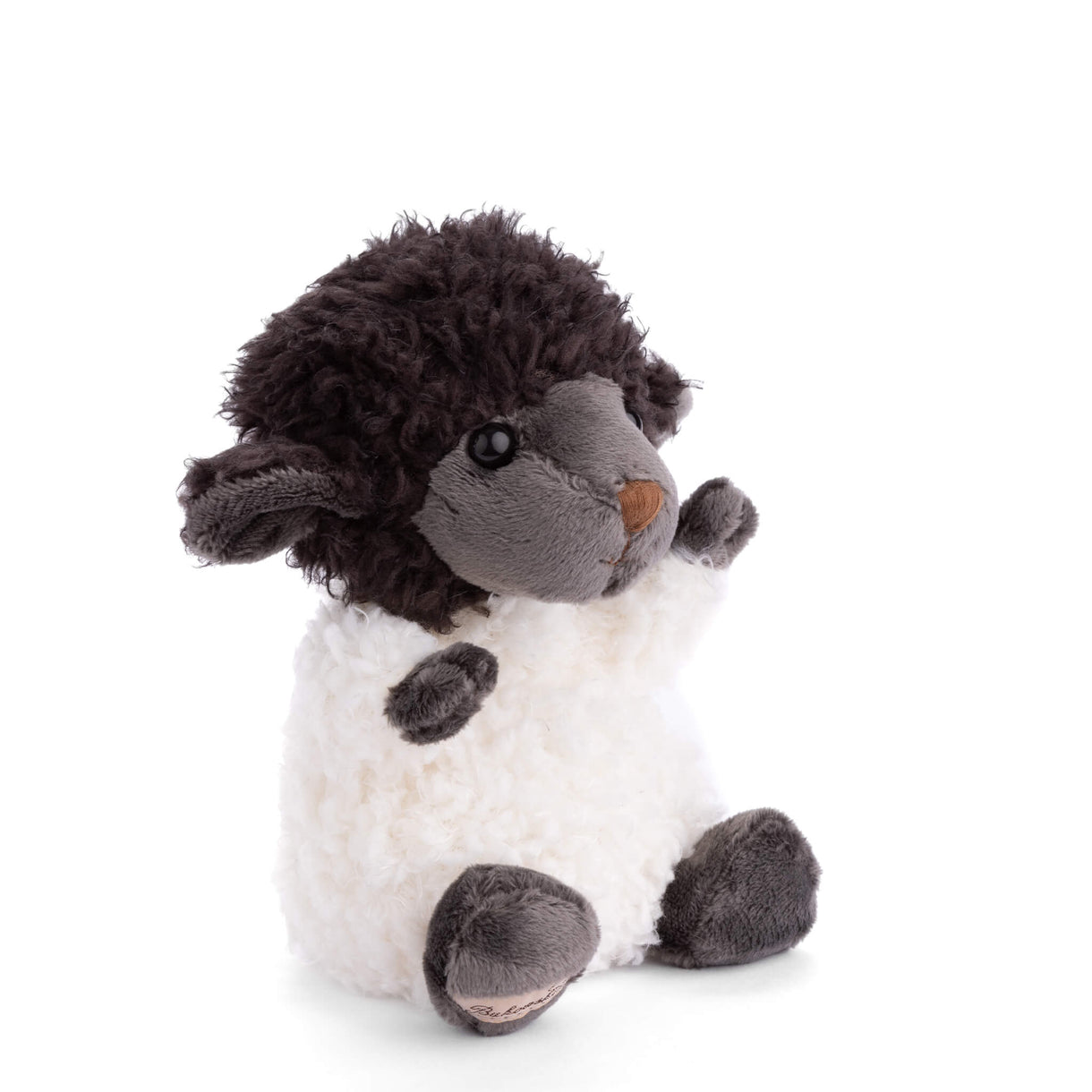 Black Sheep Bukowski Bear