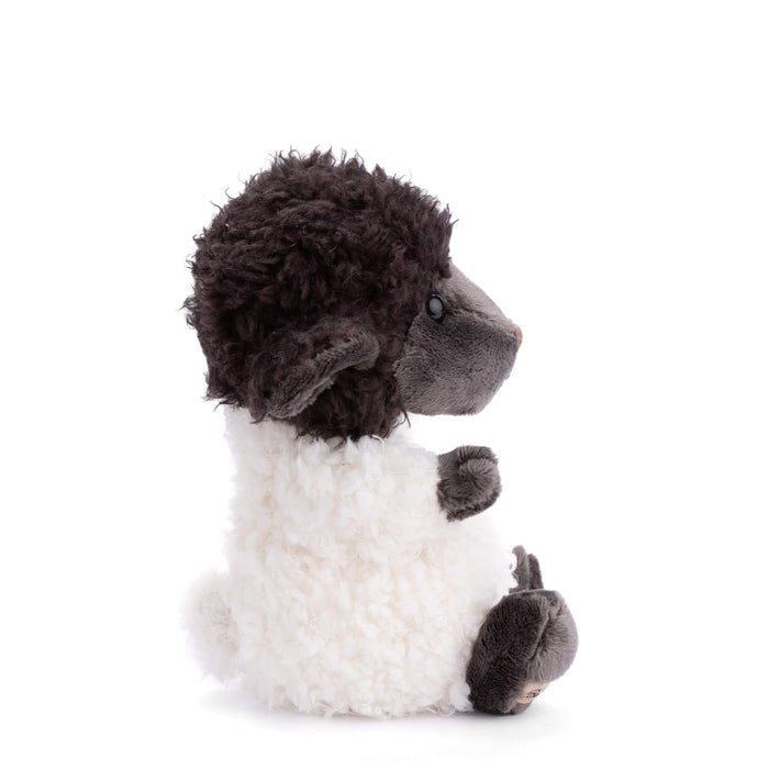 Black Sheep Bukowski Bear