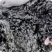 Warmies Opossum Heatable Weighted Stuffed Animal Lavender Scented
