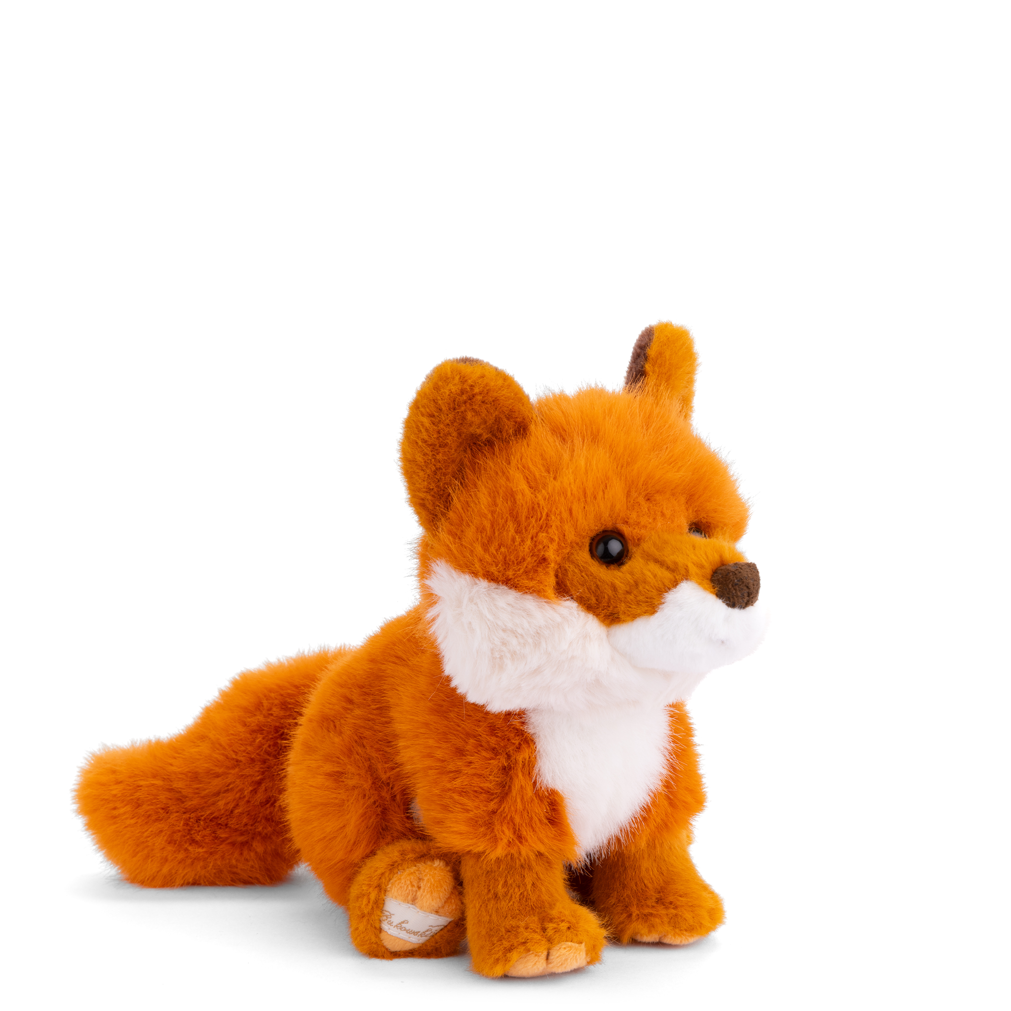 https://cdn.shopify.com/s/files/1/0502/2580/7536/files/CleverFox3_4.png?v=1754583737
