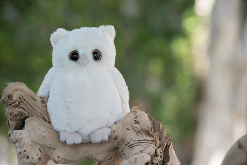 Clever Blanca 6-inch Soft Plush Owl – Cuddly Bedtime Stuffed Animal