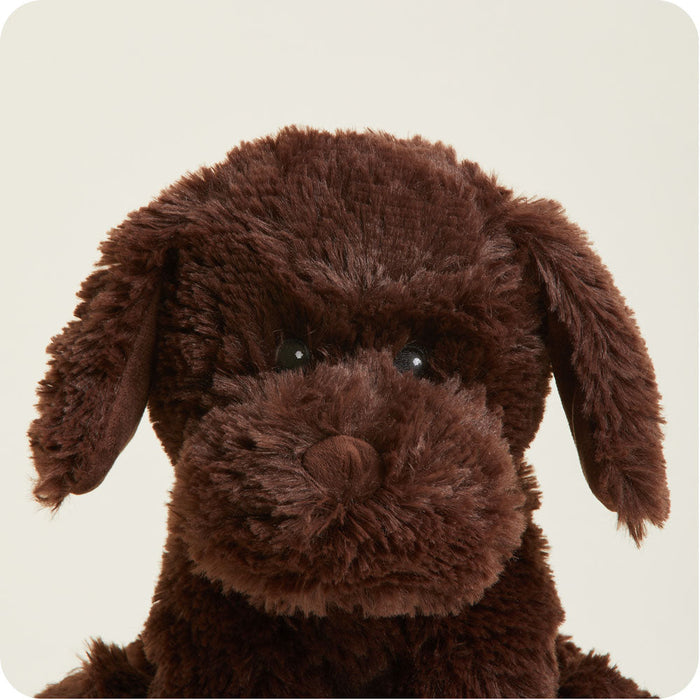 Warmies Chocolate Lab