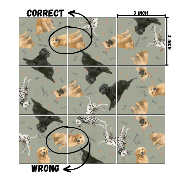 Fun Squared Games Dogs Squzzle Tile Puzzle Brain Teaser