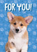 https://cdn.shopify.com/s/files/1/0049/3436/9347/products/GE-7022-Puppy-c.jpg?v=1573560758