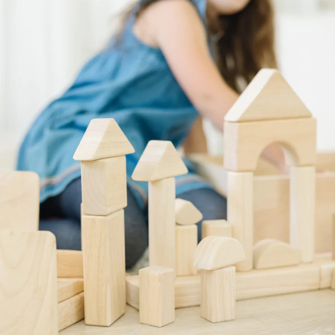Standard Unit Blocks 60 Piece