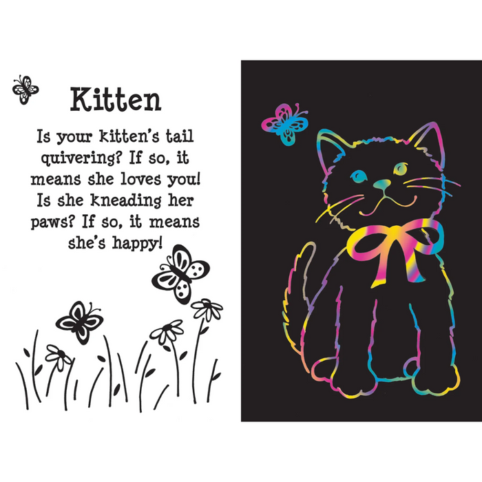 Furry Friends Scratch and Sketch Book