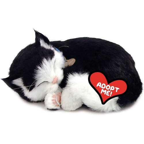 Black and White Kitten Perfect Petzzz