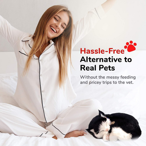 Black and White Kitten Perfect Petzzz