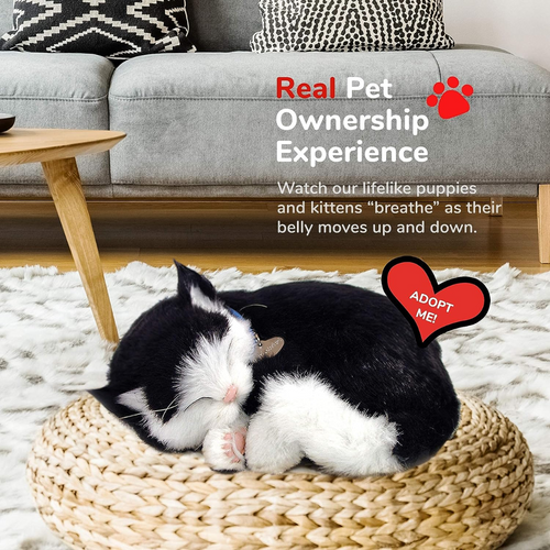 Black and White Kitten Perfect Petzzz