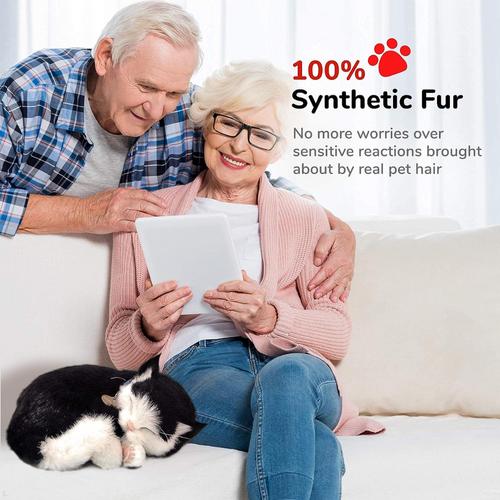 Black and White Kitten Perfect Petzzz