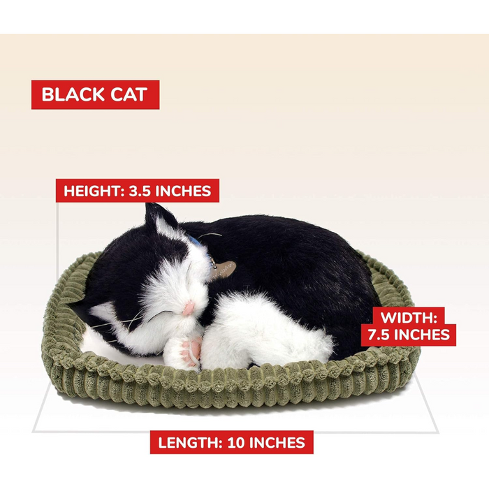 Black and White Kitten Perfect Petzzz