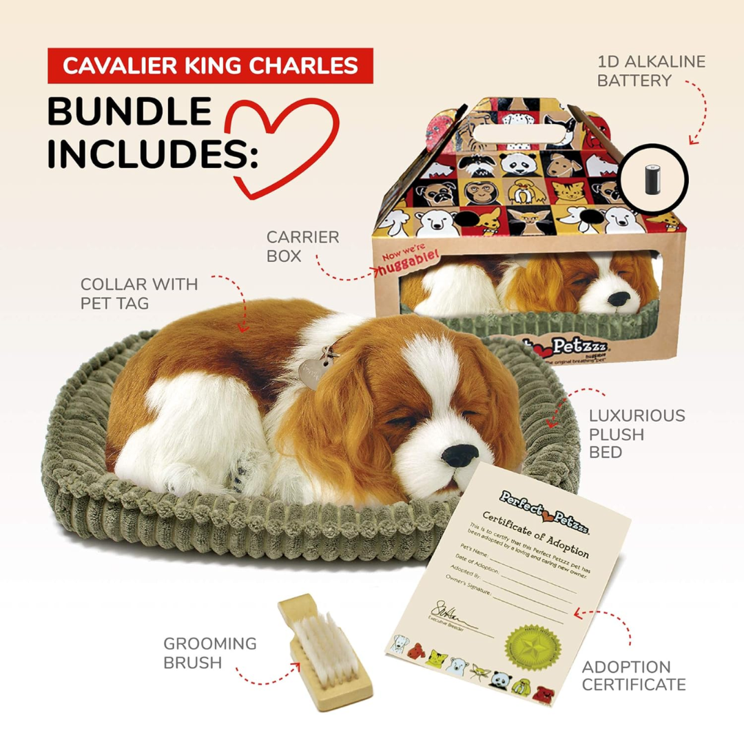 Cavalier King Charles Perfect Petzzz