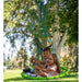 Hape Trelines 38" Dreamcatcher Outdoor Tree Swing