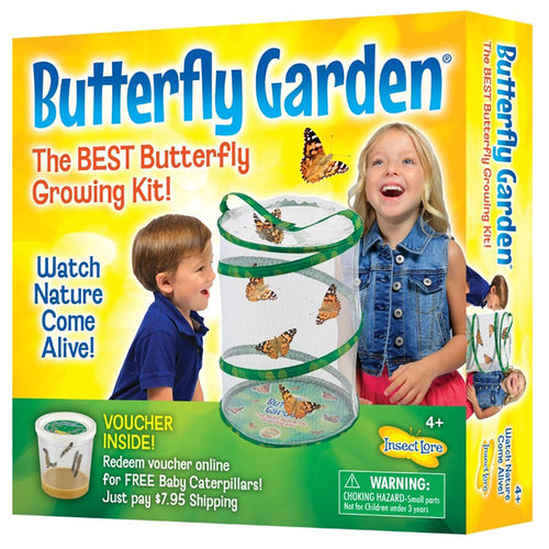 Live Butterfly Garden Kit