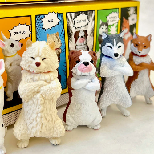 Cool Dogs Blind Box (1 Box)