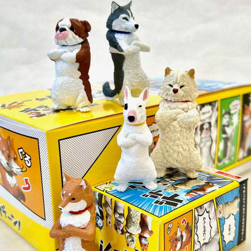 Cool Dogs Blind Box (1 Box)