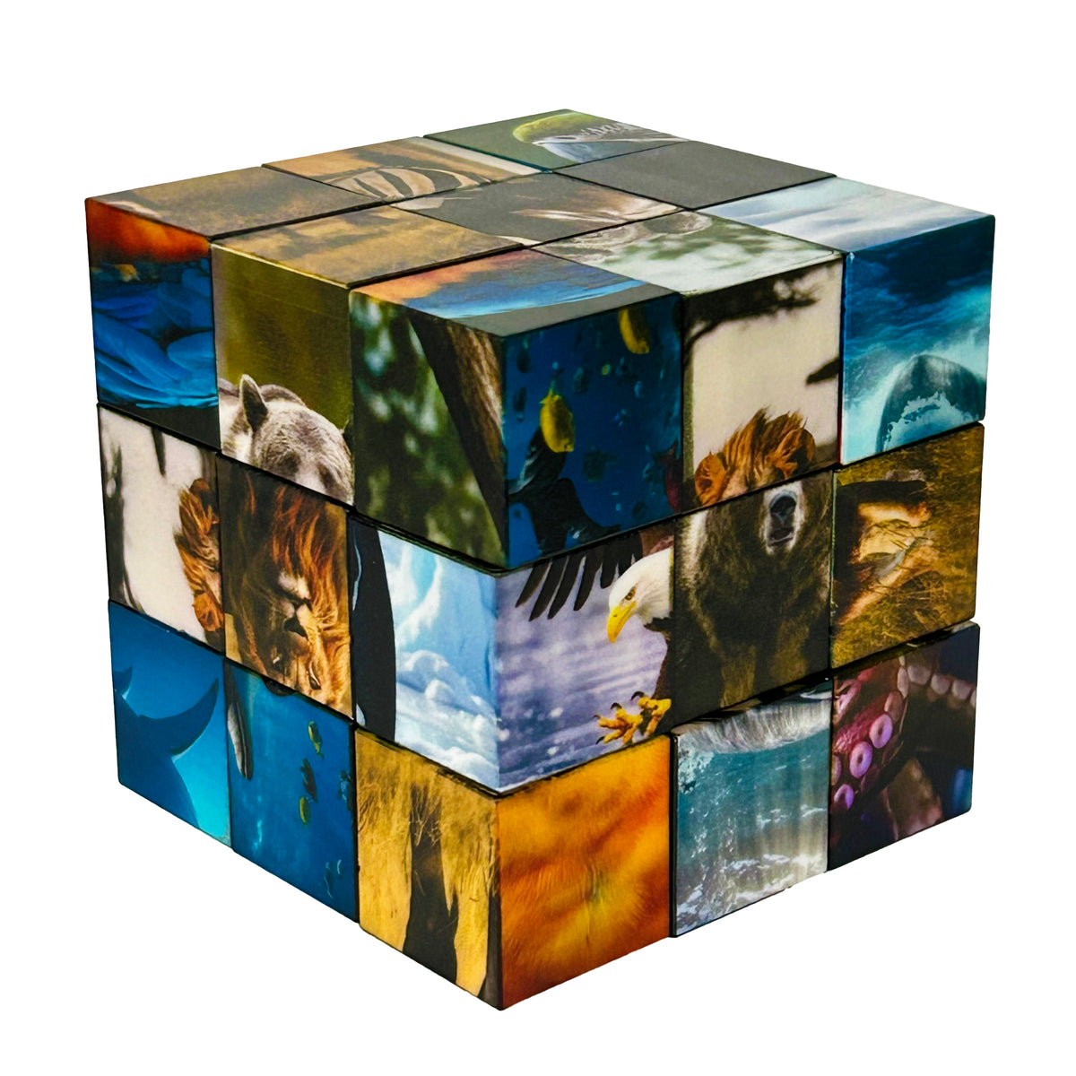 Click Blocks Animal — Learning Express Houston