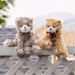 https://cdn.shopify.com/s/files/1/0502/2580/7536/files/Loke-Maciek-Product-Photo-Crops.jpg?v=1741403239