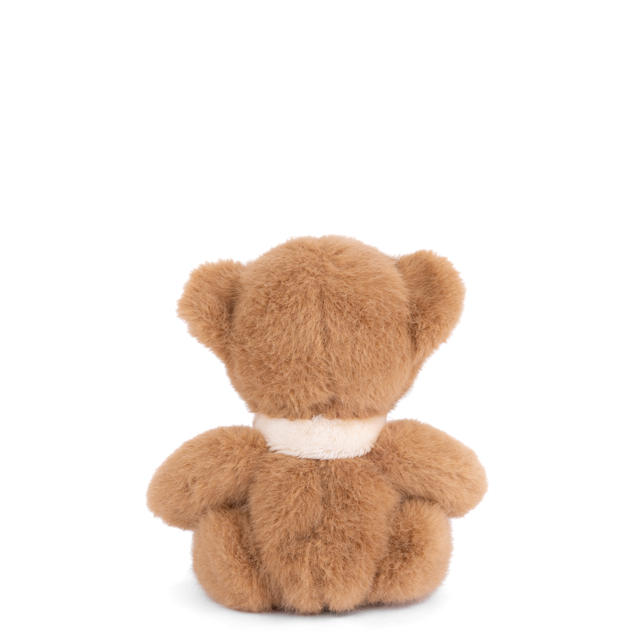 https://cdn.shopify.com/s/files/1/0502/2580/7536/files/LovelyLittleBukowskiBack.png?v=1754604475