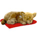 Perfect Petzzz Chihuahua Interactive Breathing Plush Toy With Bed