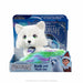 The Elf on the Shelf Extraordinary Noorah Book and Plush Set