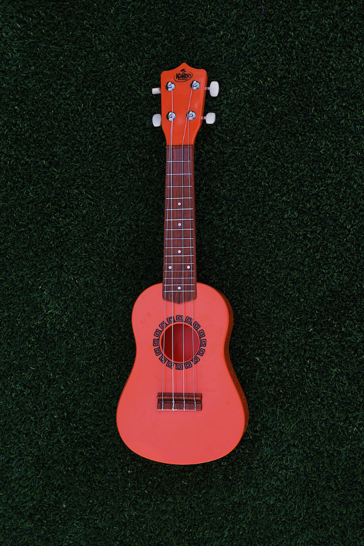 KAKO'O UKULELE (Assorted Styles)