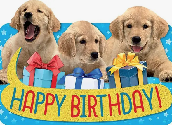 BIRTHDAY CARD: PUPPIES AND PRESENTS